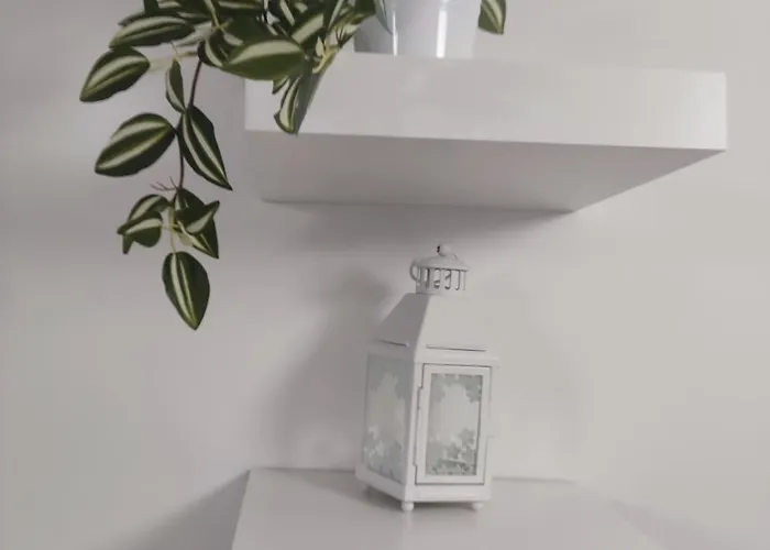 Galeb * Vrnjačka Banja