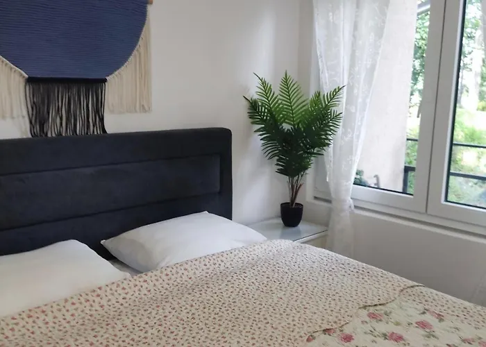 Galeb * Vrnjačka Banja