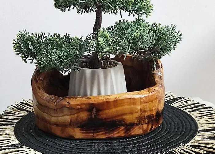 Διαμέρισμα Galeb Vrnjačka Banja